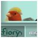 Fiory